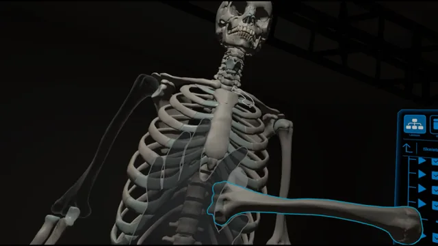 Interactive skeleton in the Advanced Anatomy XR application